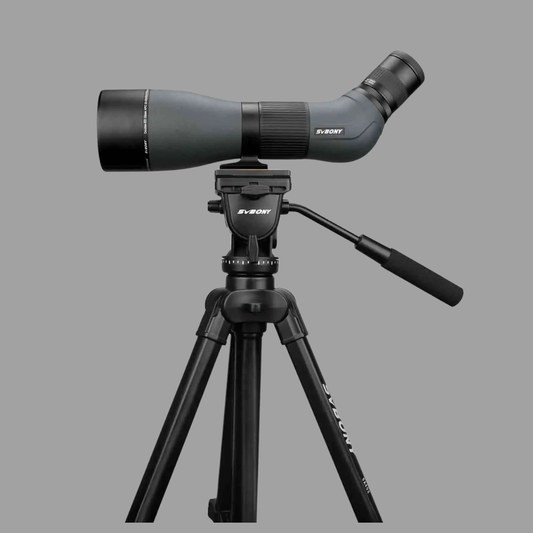 Longue-Vue Professionnelle 20–60x85 Double ED